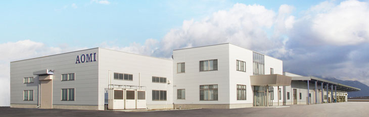 Aomi Precision Co., Ltd.